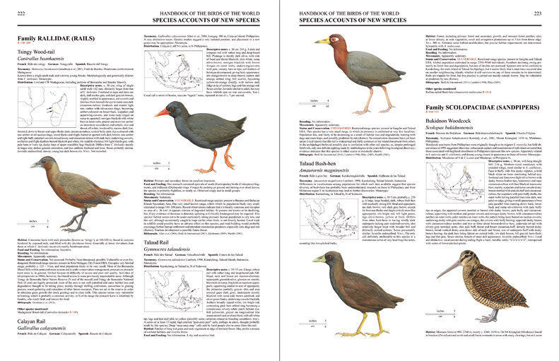 Special Volume: New Species and Global Index sample page